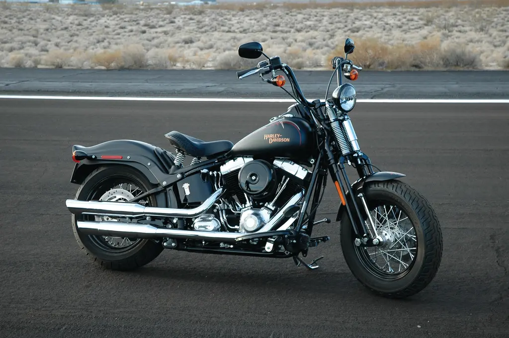 Eine dunkle Harley-Davidson Cross Bones mit gefedertem Solosattel, Springer-Gabel und verchromtem Auspuff, am Straßenrand geparkt.